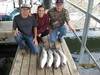 (08/24/2018) - Nice Striped Bass